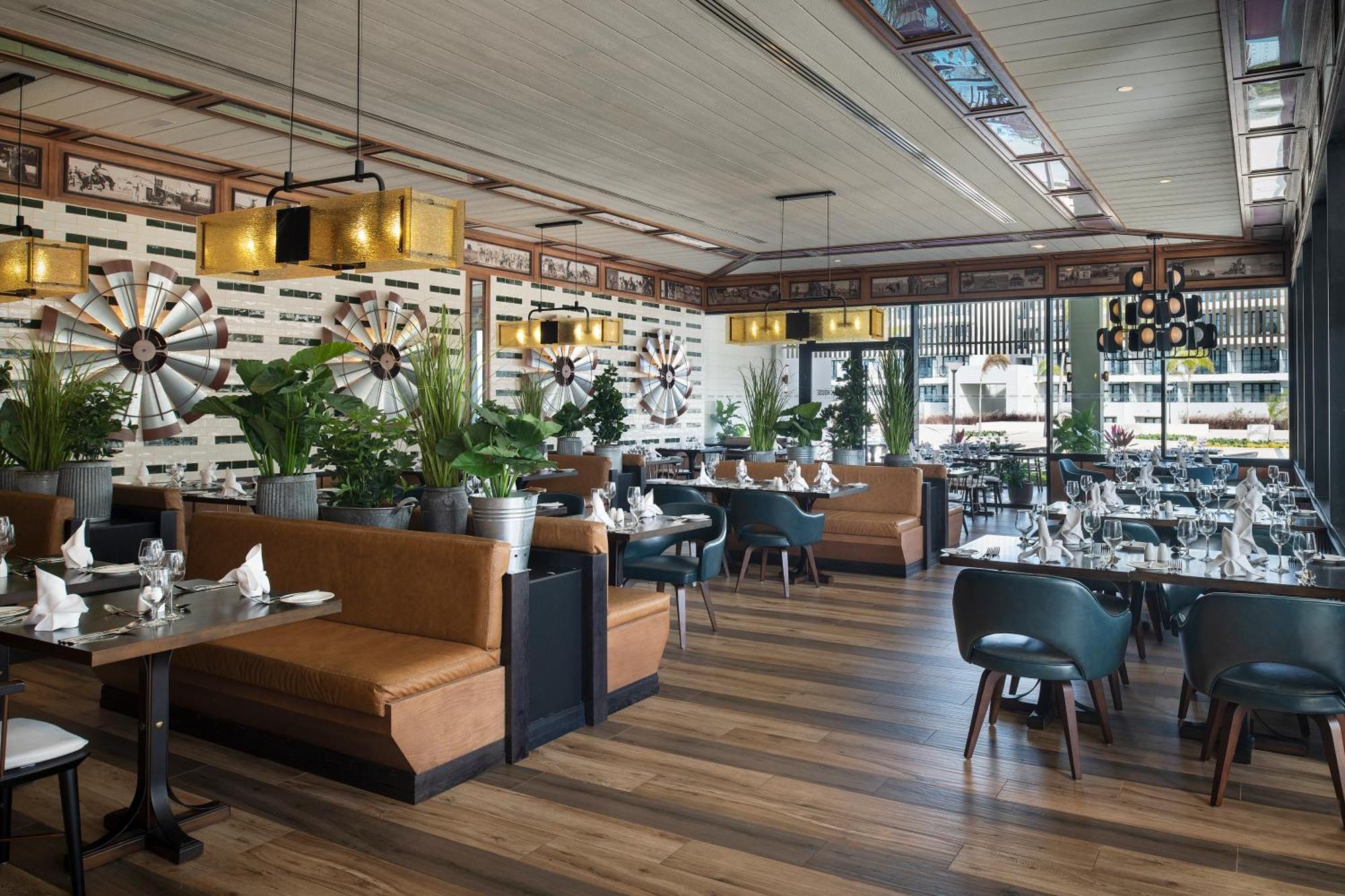 Ocean Eden Bay (Adults Only) Otel Spring Rises Dış mekan fotoğraf Interior of the restaurant